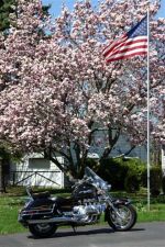 Filename=April15.jpg
Filesize=62KiB
Dimensions=420x630
Date added=Jun 02, 2005 April15.jpg