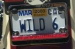 Filename=wild6.jpg
Filesize=7KiB
Dimensions=160x106
Date added=Mar 24, 2005 wild6.jpg