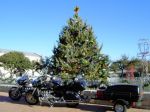 Filename=December23.jpg
Filesize=83KiB
Dimensions=640x480
Date added=Dec 23, 2005 December23.jpg