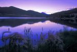 Filename=Sept15.jpg
Filesize=62KiB
Dimensions=800x548
Date added=Sep 29, 2005 Sept15.jpg