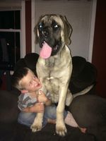 Filename=Ram_s_Buddy_2.jpg
Filesize=58KiB
Dimensions=720x960
Date added=Mar 15, 2016 Ram_s_Buddy_2.jpg