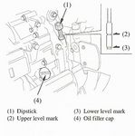 Filename=Oil_Level_2.jpg
Filesize=35KiB
Dimensions=378x380
Date added=Feb 13, 2018 Oil_Level_2.jpg
